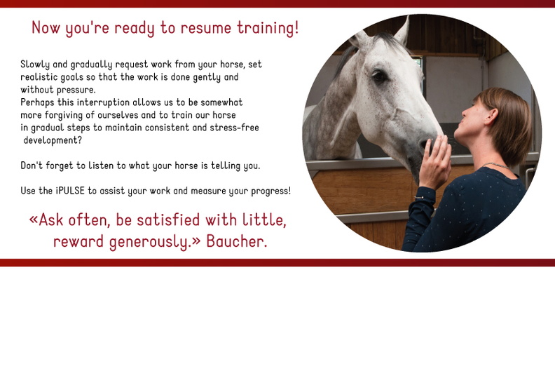 Resume training with your horse