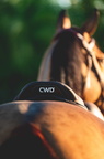 selle (1)